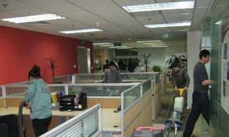 金山区专业保洁服务 高效清洁，打造洁净商业与居住环境